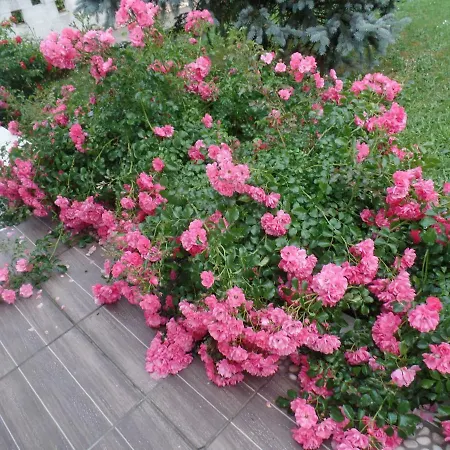 Maison Marysa 3* Mérignac