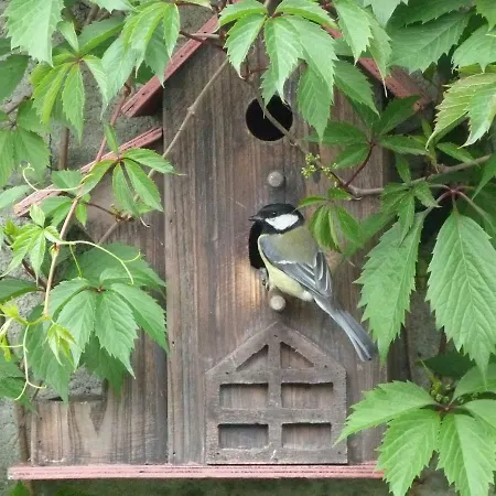 Maison Marysa 招待所 Mérignac